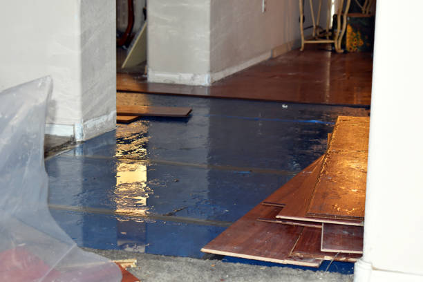 Professional Flood Damage Restoration technician working in Duenweg, MO